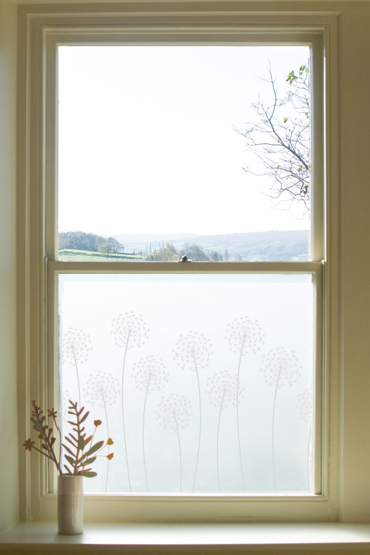 Allium Window Film