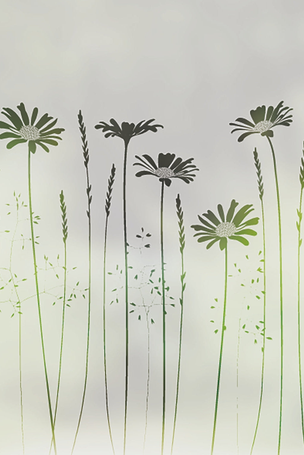 Daisy Meadow's Edge Window Film