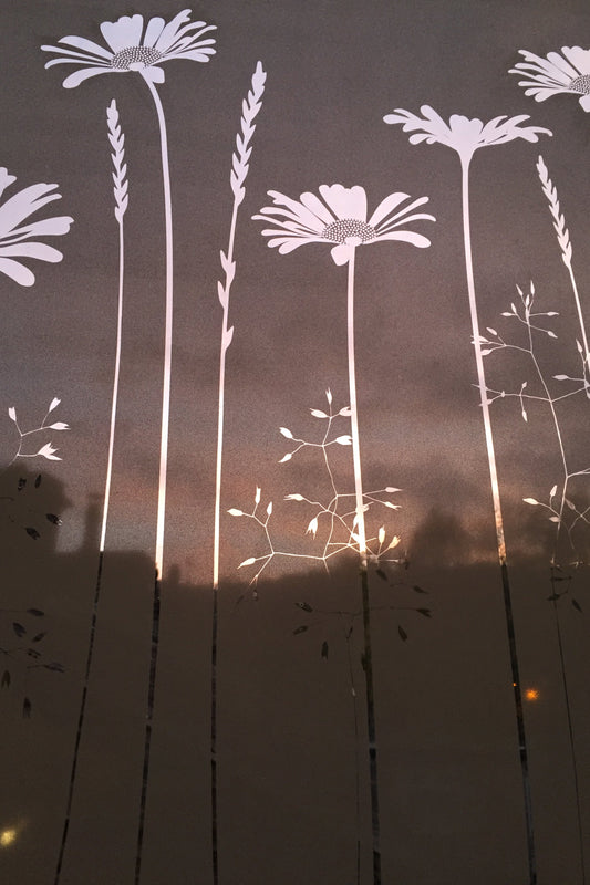 Tall Daisies Window Film