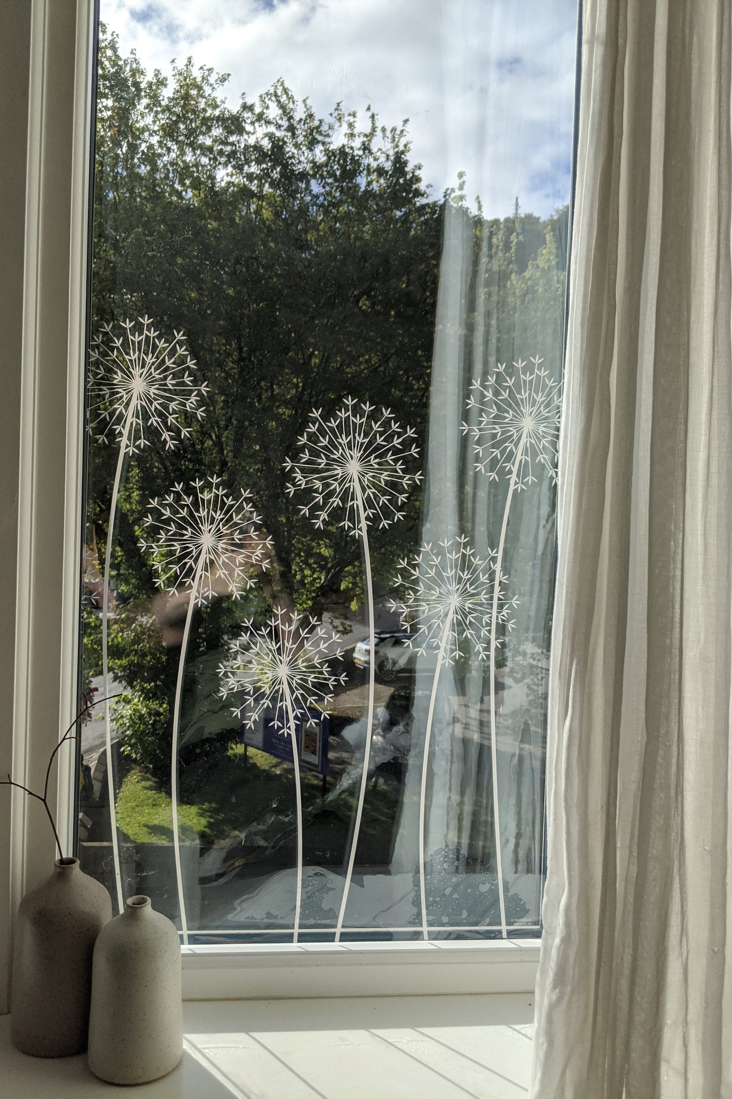 Allium Window Film