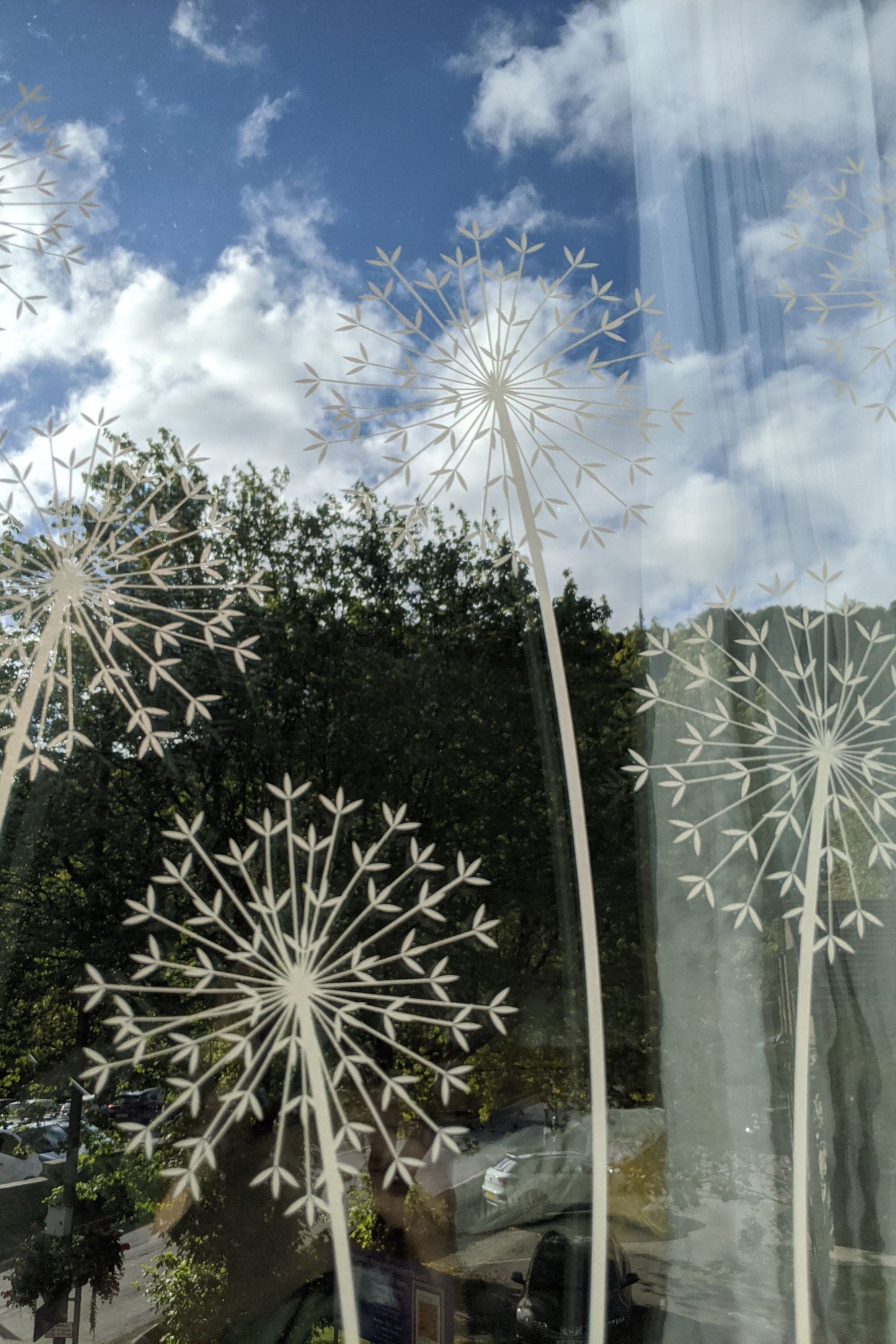 Allium Window Film