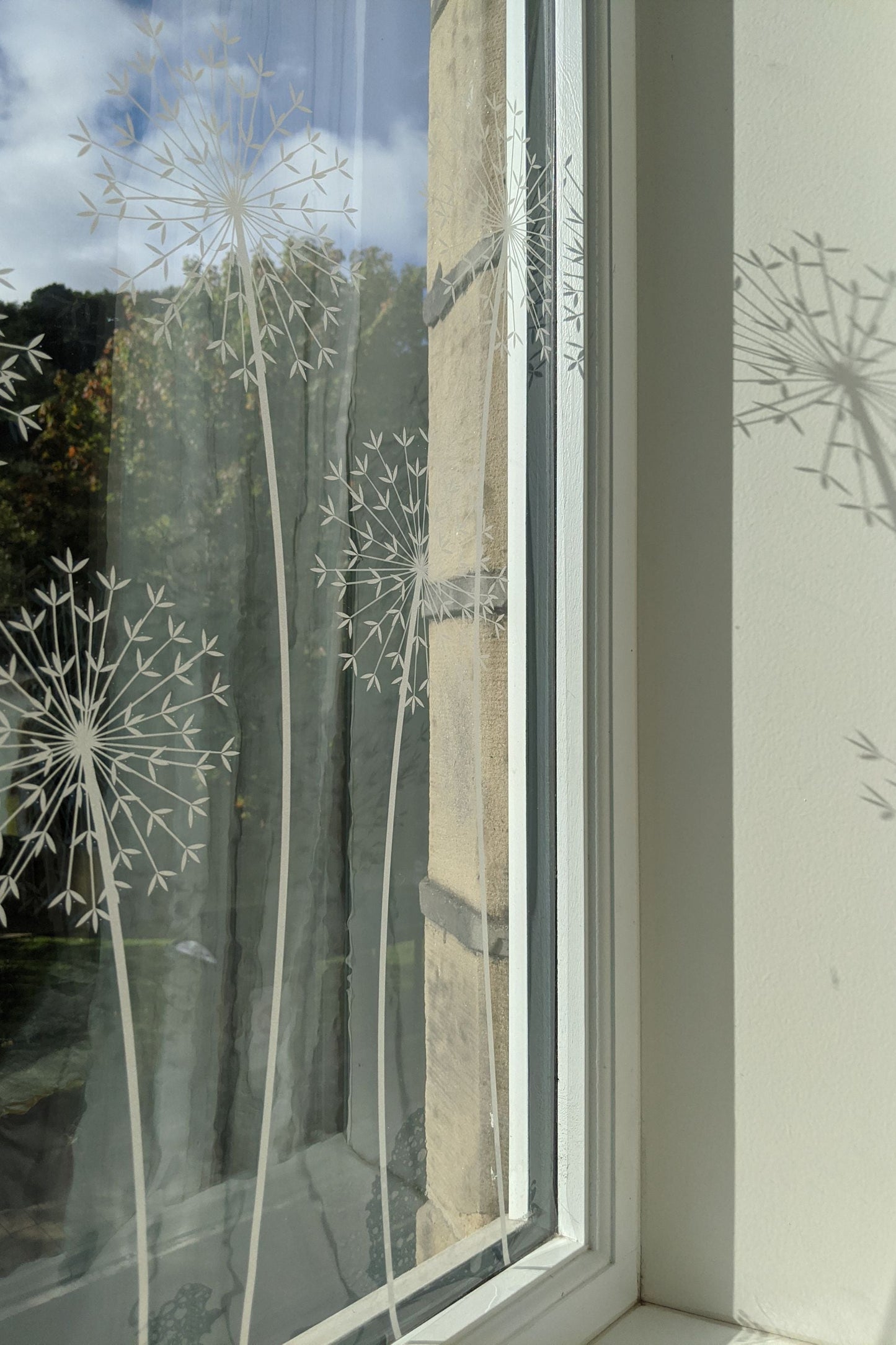 Allium Window Film