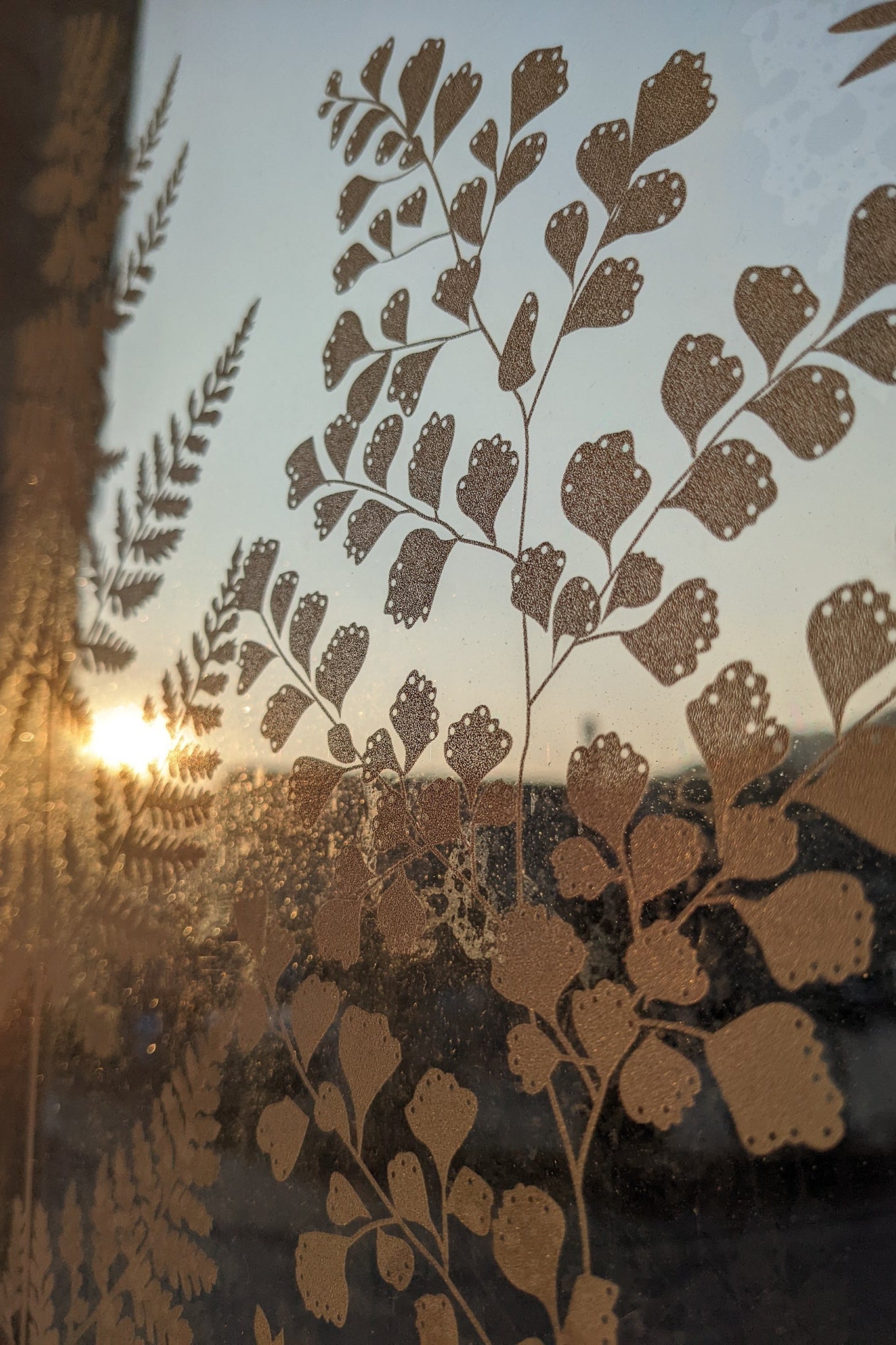 Fern window film