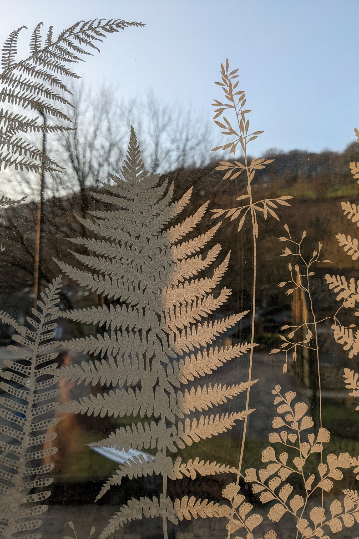 Fern window film