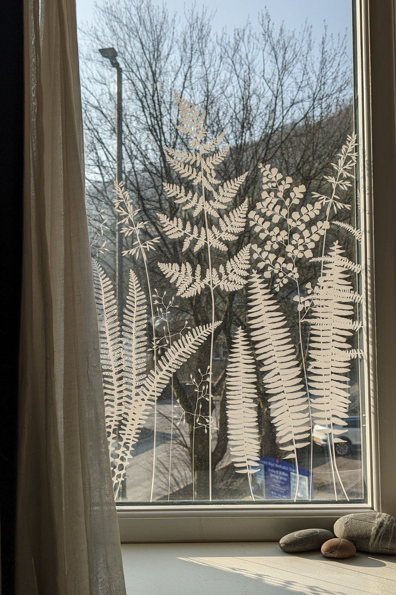 Fern window film