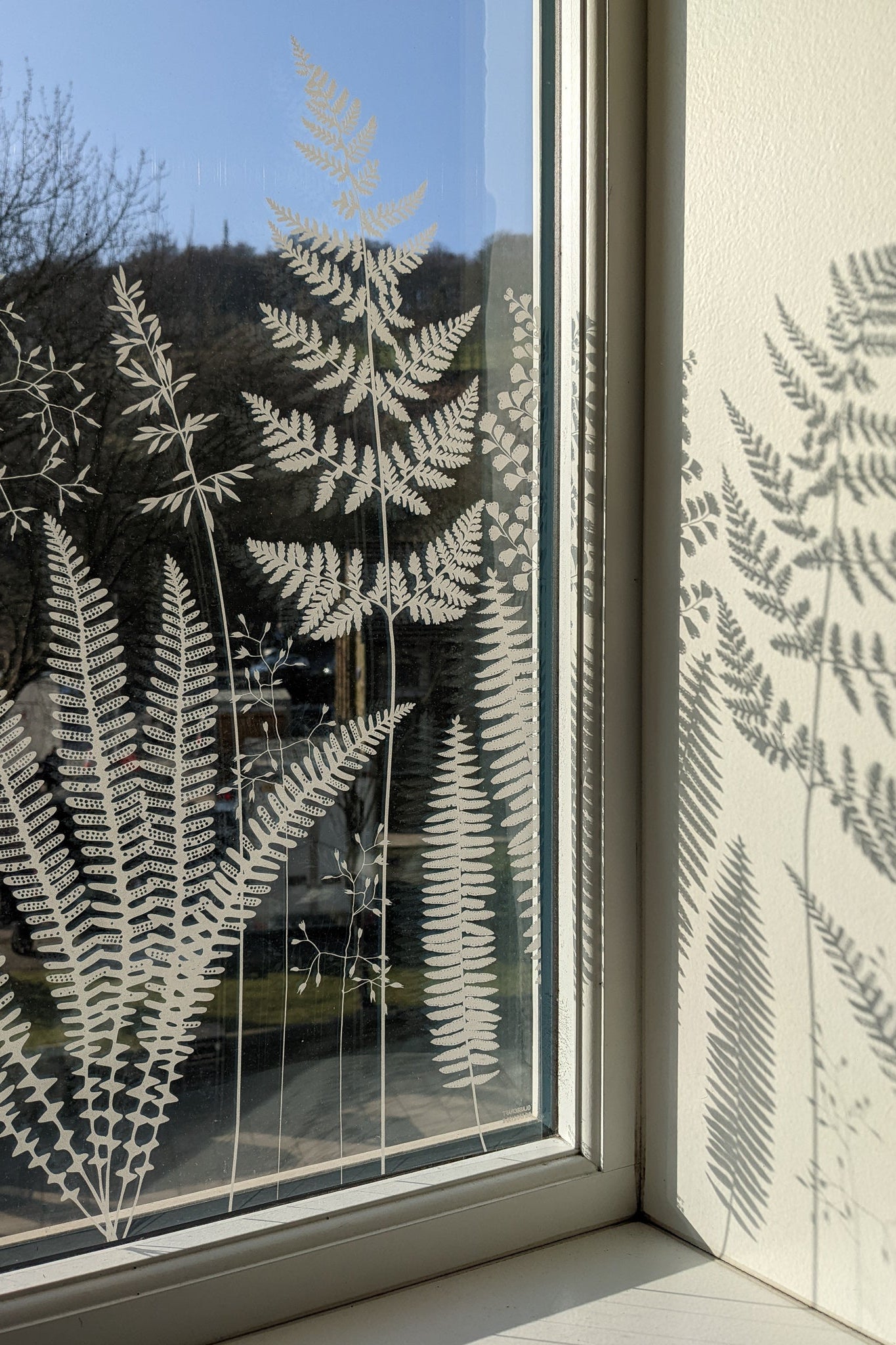 Fern window film