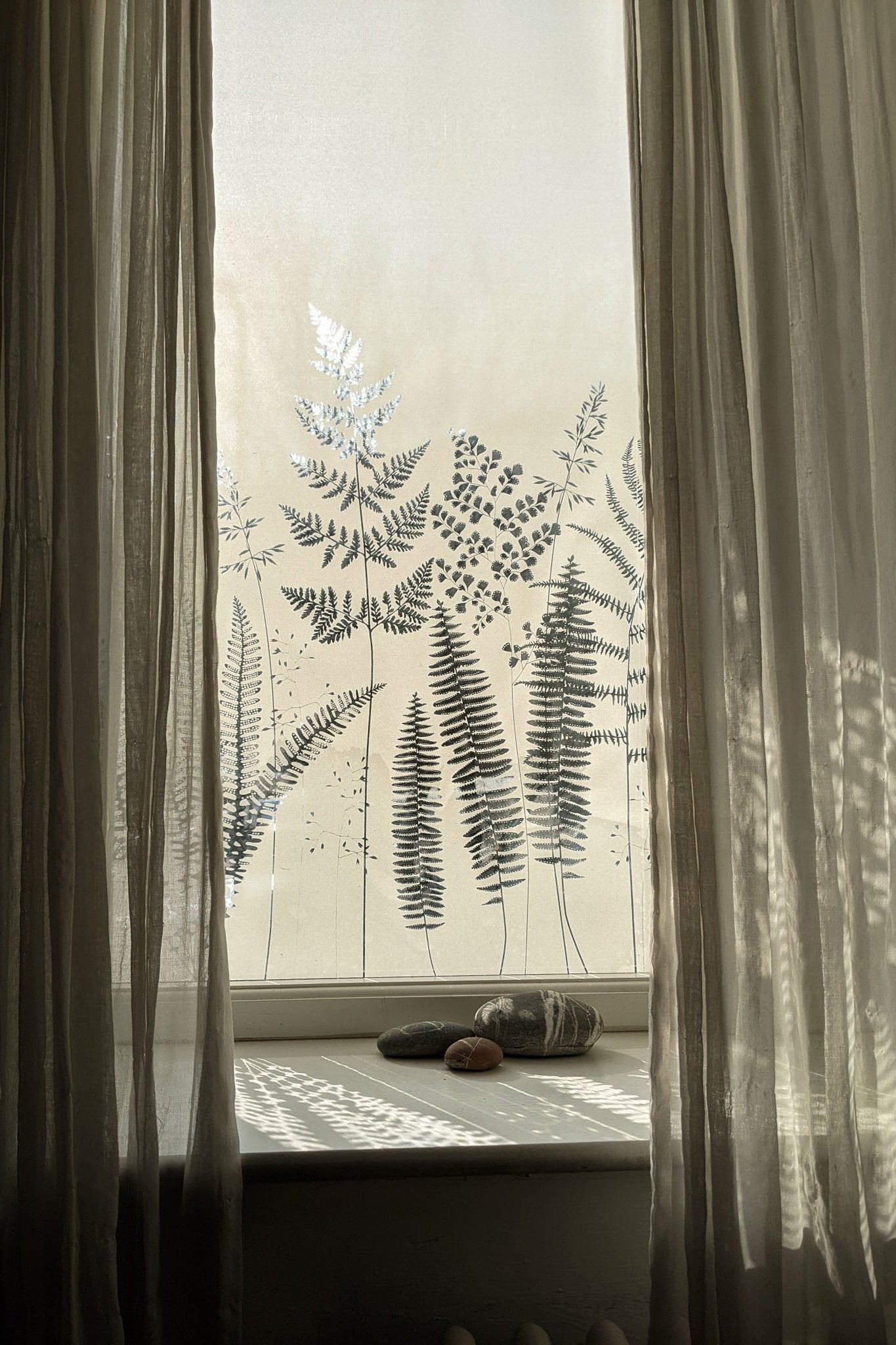 Fern window film