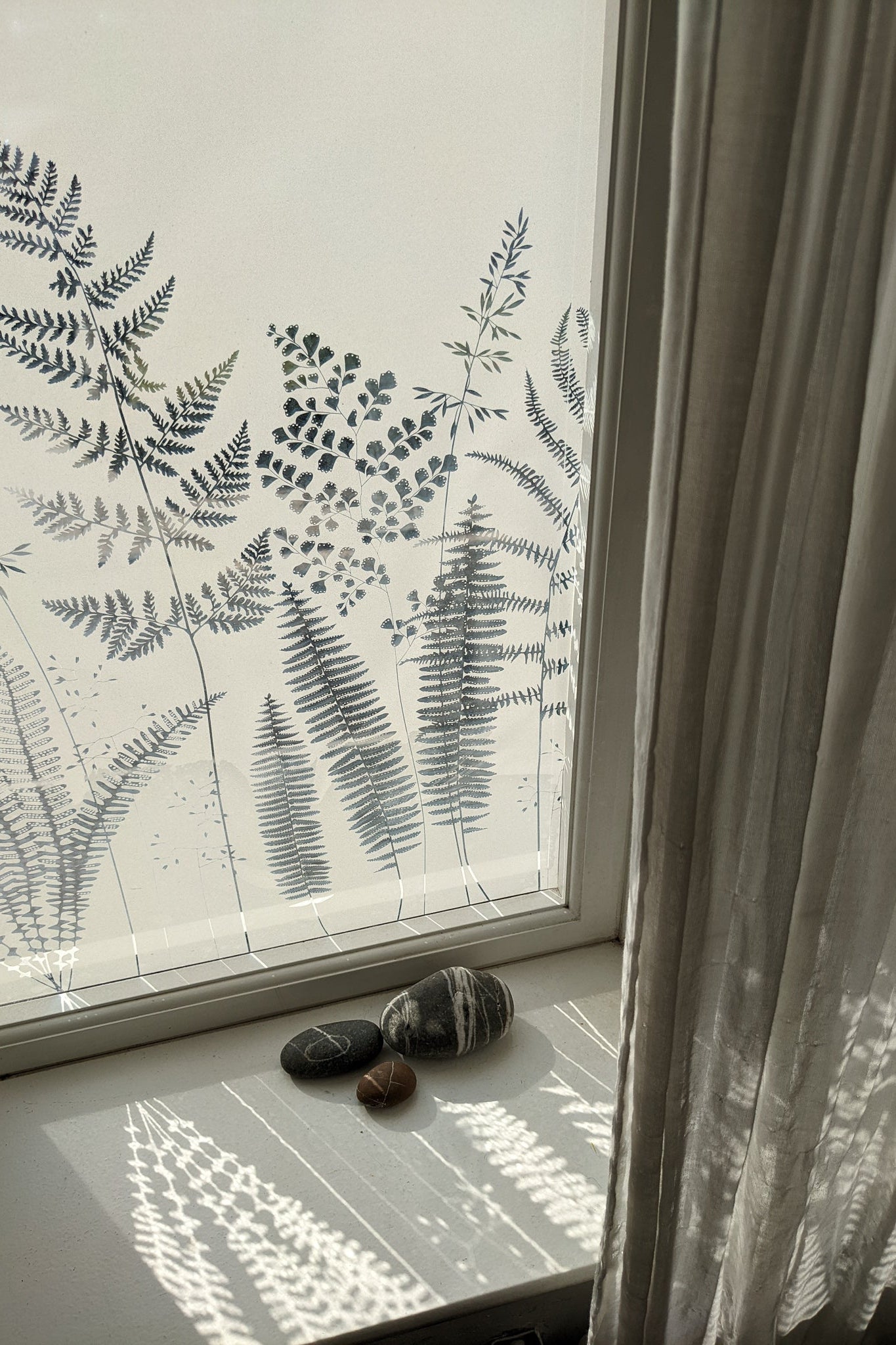 Fern window film