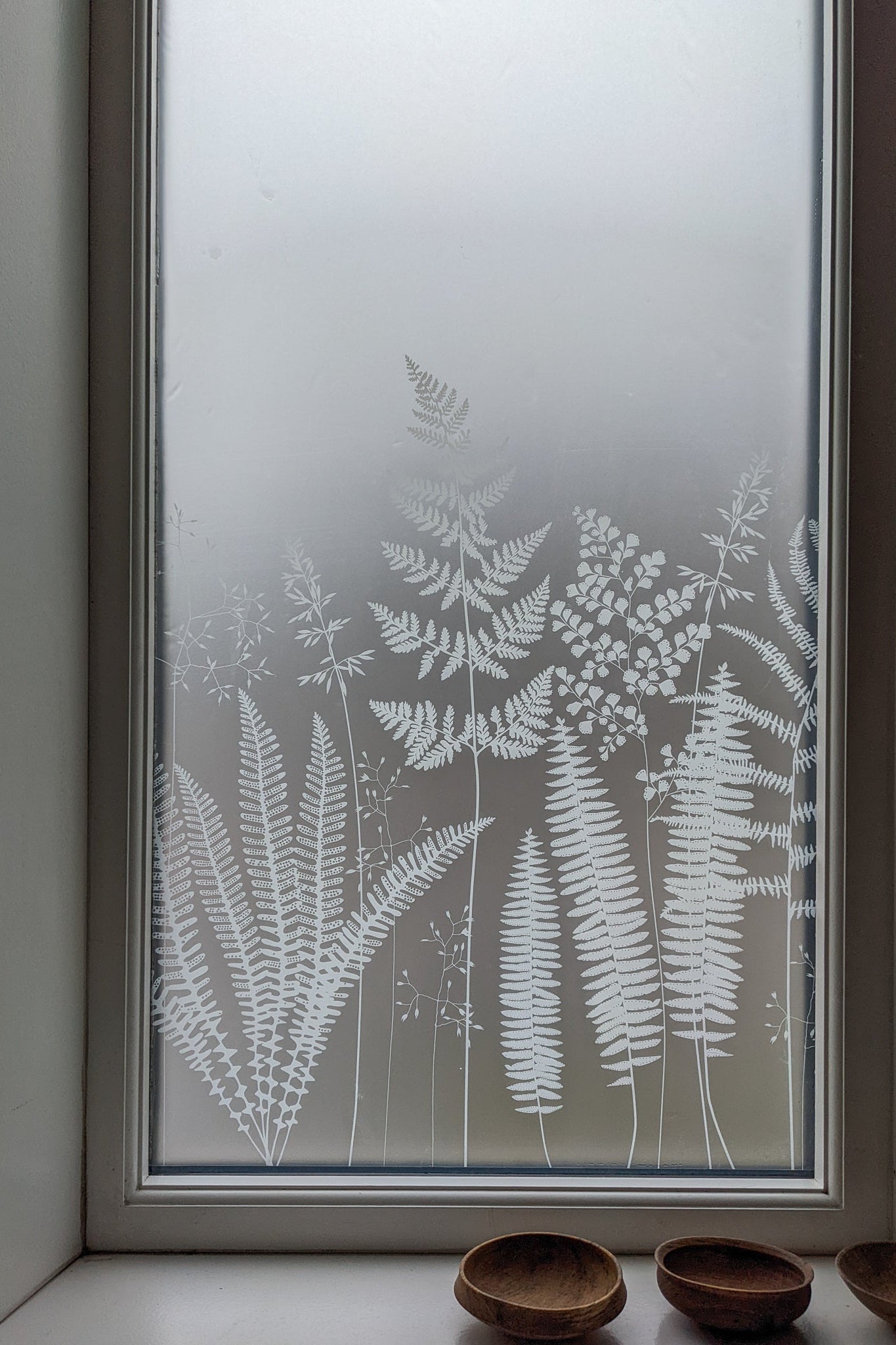 Fern window film