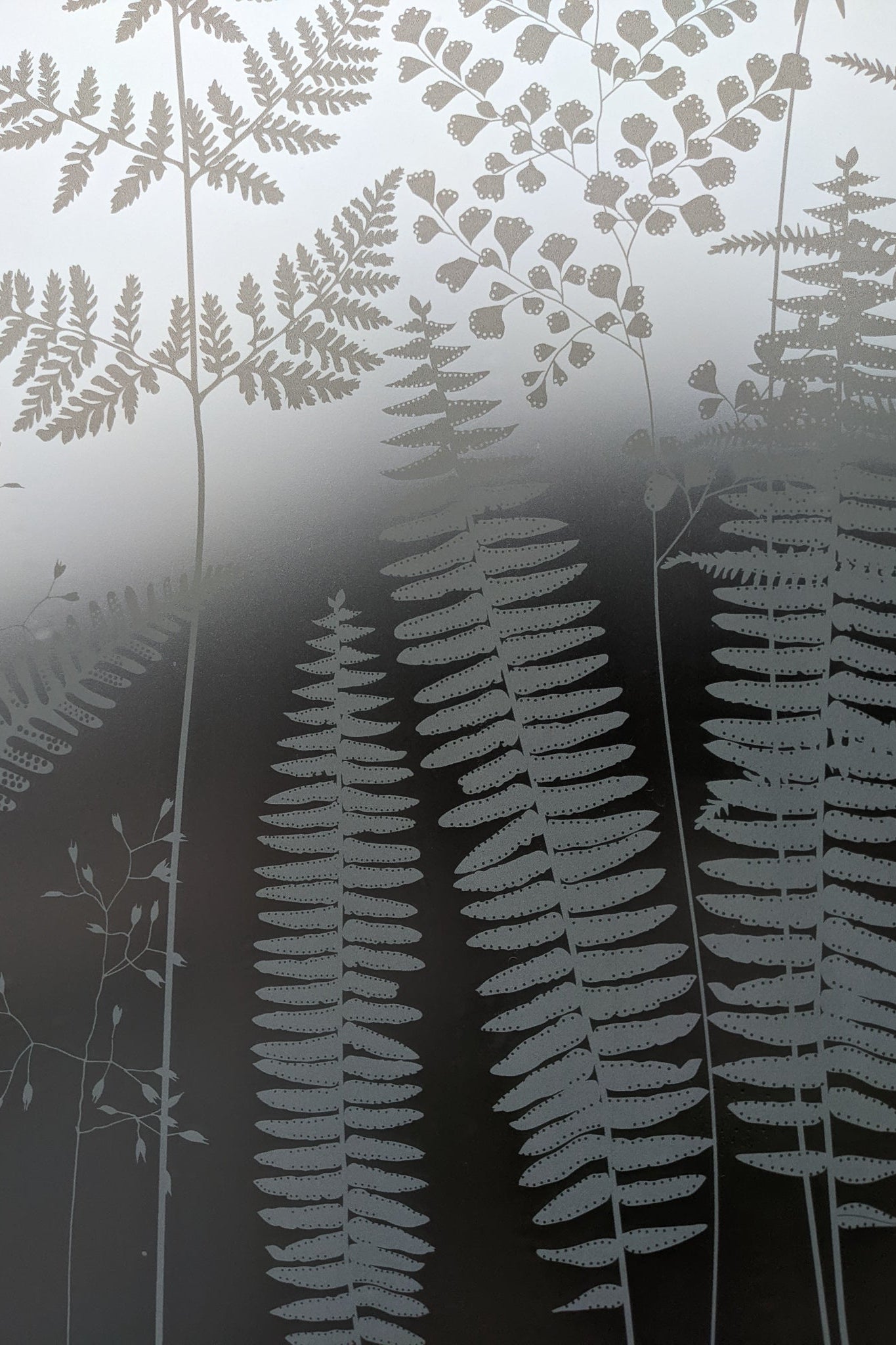 Fern window film