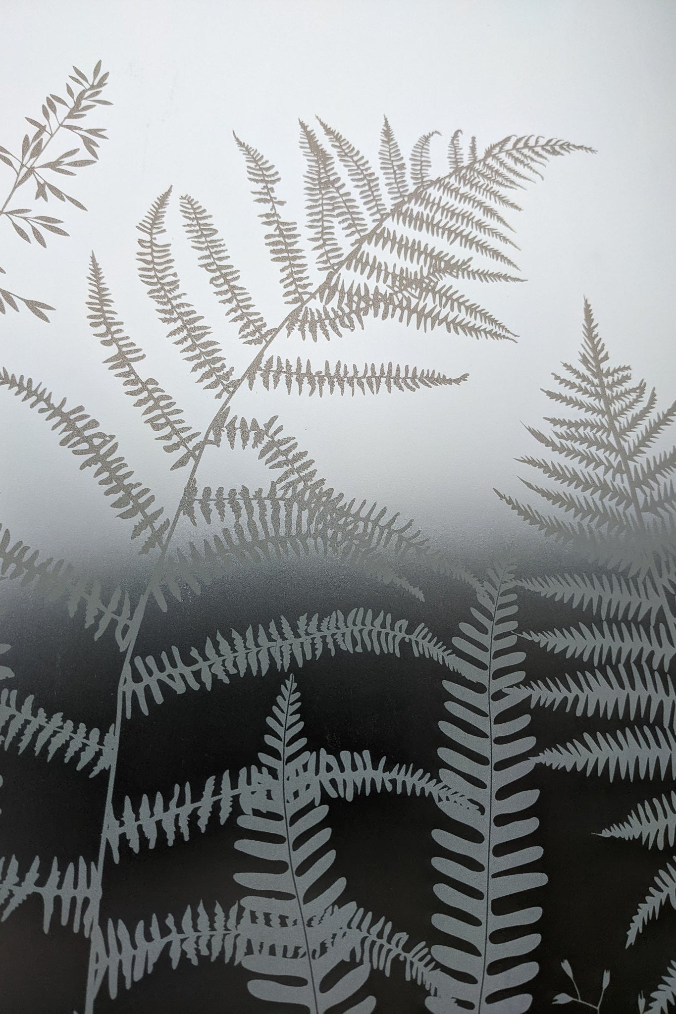 Fern window film