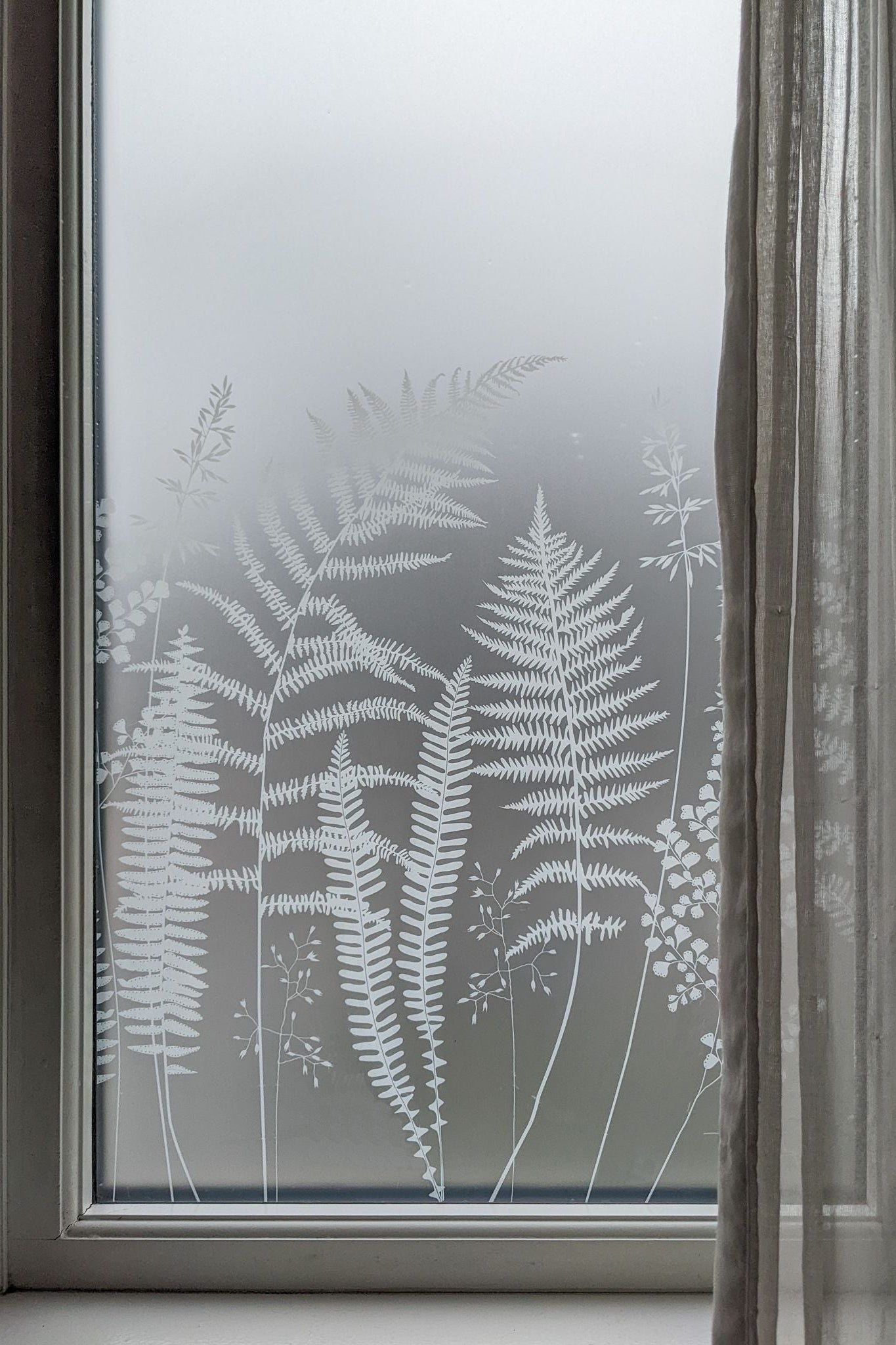 Fern window film