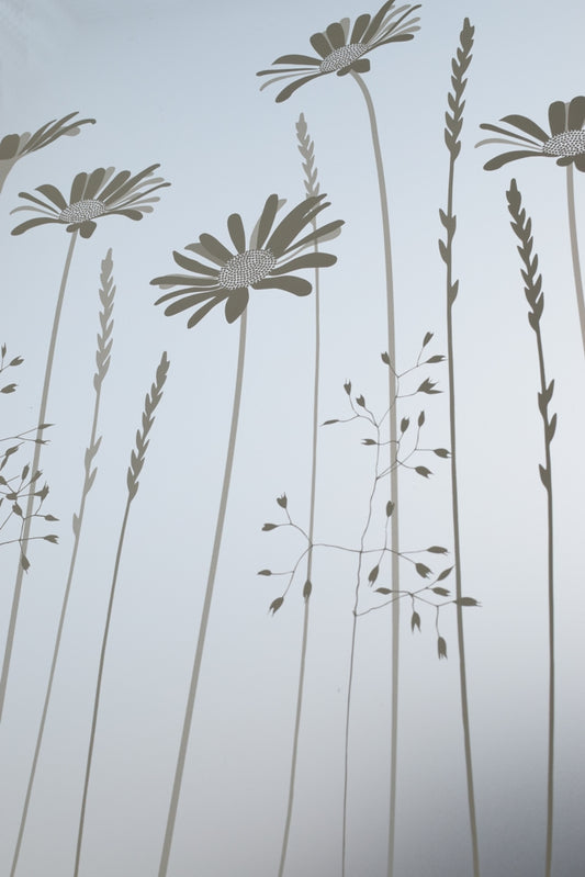 Tall Daisies Window Film