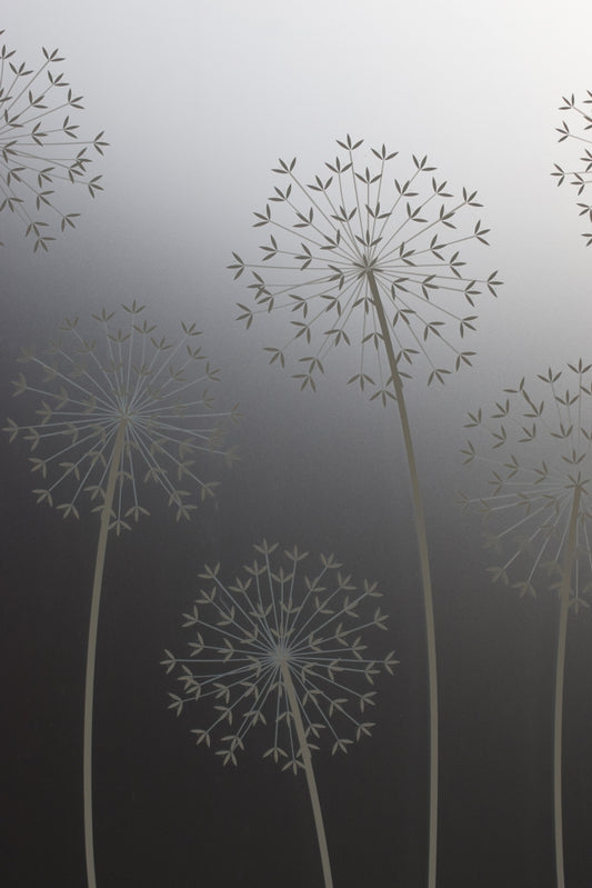 Allium Window Film