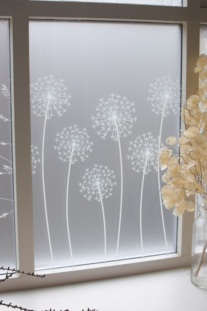 Allium Window Film