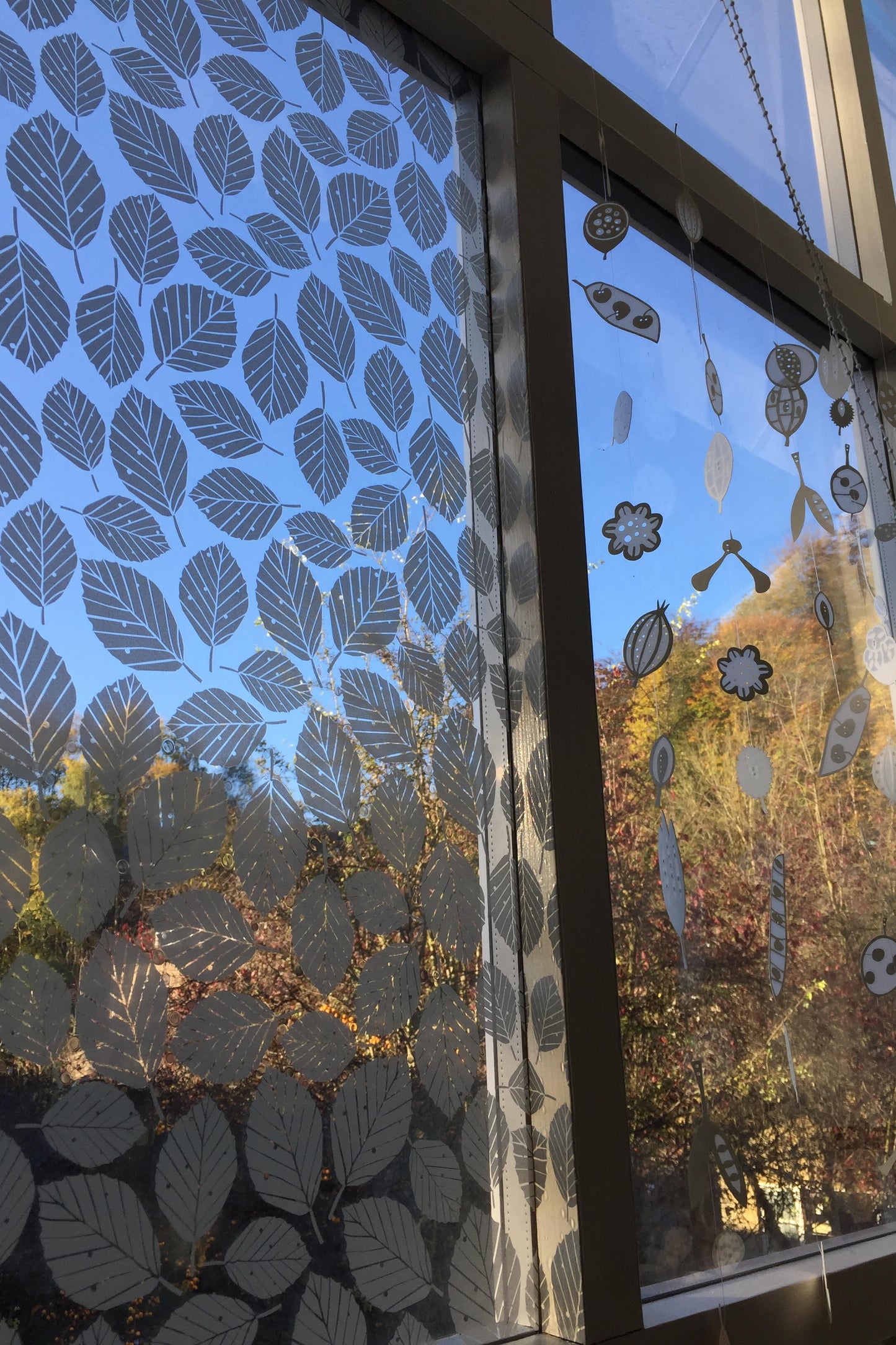 Beech Leaves Window Film